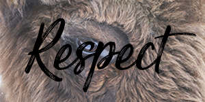 respect