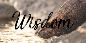 widsom